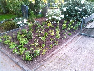 Unser Bienengarten auf dem Schinkeler Friedhof