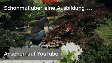 Ansehen auf YouTube