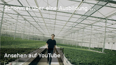 Ansehen auf YouTube