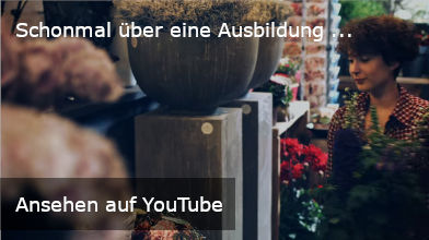 Ansehen auf YouTube