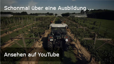 Ansehen auf YouTube