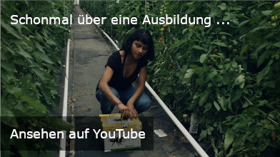 Ansehen auf YouTube